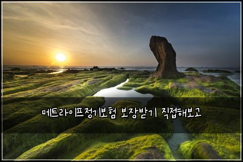메트라이프정기보험 보장받기  직접해보고
