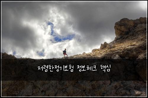 저렴한정기보험 정보체크  핵심