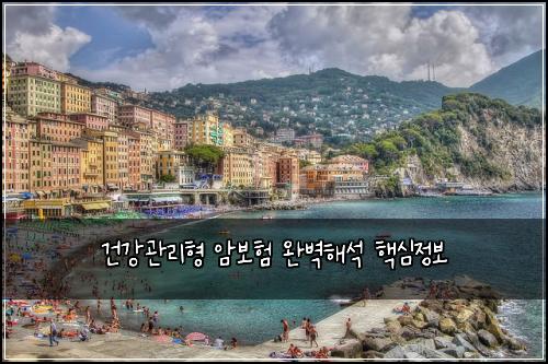 건강관리형 암보험 완벽해석  핵심정보