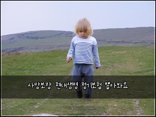 사망보장 현대생명 정기보험 뽑아봐요 