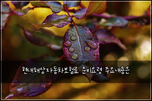 현대해상자동차보험료 준비요령 주요내용은