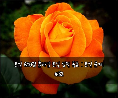 토익 600점 돌파법 토익 성적 목표 : 토익 문제 #182