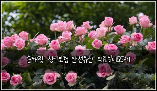 손해랑 정기보험 안전유산  의료실비55세