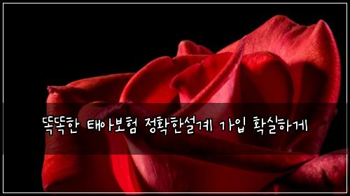 똑똑한 태아보험 정확한설계  가입 확실하게