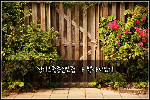 정기보험종신보험 나 뽑아서보기