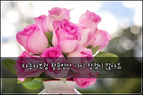 μλ차보ν νμ©λ°©μ λμ΄ μ₯μ μ΄ λ§μμ