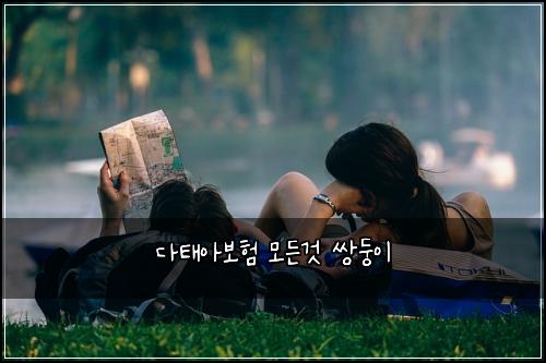 다태아보험 모든것  쌍둥이