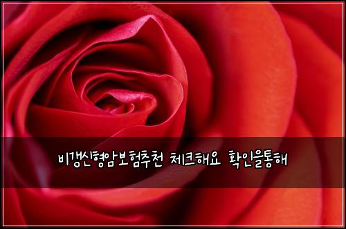 비갱신형암보험추천 체크해요 확인을통해