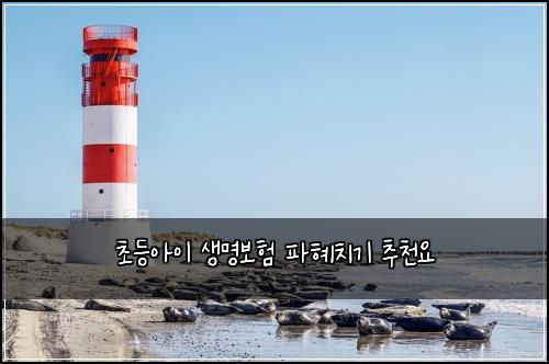 초등아이 생명보험 파혜치기  추천요