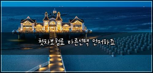 첫차보험료 바른선택 먼저하죠