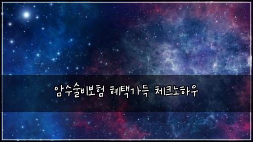 암수술비보험 혜택가득  체크노하우