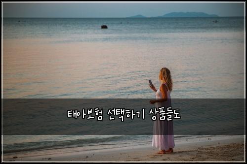 태아보험 선택하기  상품들도