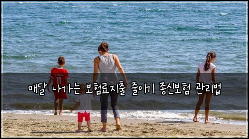 매달 나가는 보험료지출 줄이기 종신보험 관리법