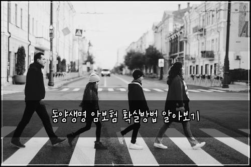 동양생명 암보험 확실방법  알아보기