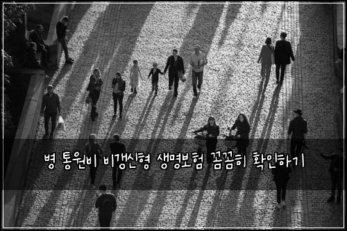 병 통원비 비갱신형 생명보험 꼼꼼히 확인하기