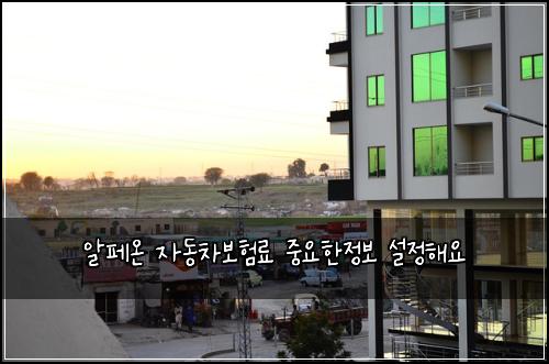 알페온 자동차보험료 중요한정보 설정해요