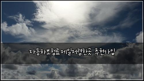 자동차보험료제일저렴한곳 추천가입