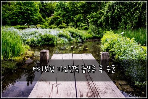 태아보험 가입견적  출생후 후 수술