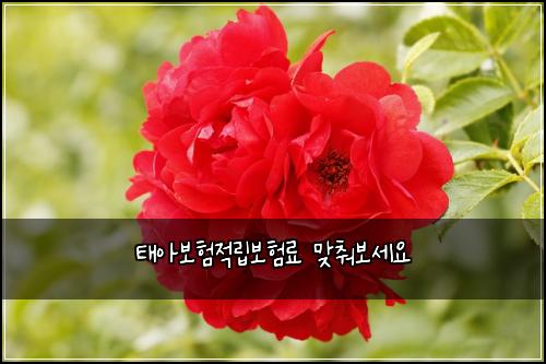 태아보험적립보험료 맞춰보세요