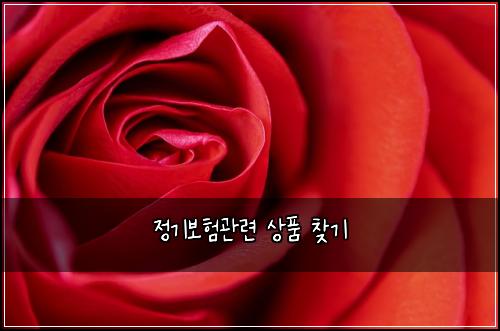 정기보험관련 상품 찾기