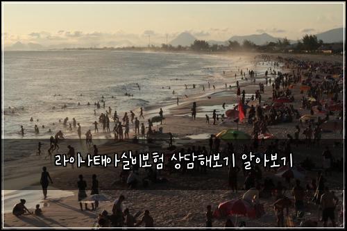 라이나태아실비보험 상담해보기  알아보기