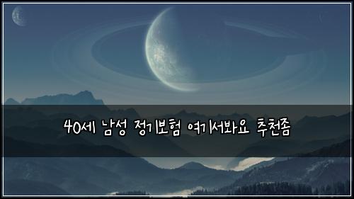 40세 남성 정기보험 여기서봐요  추천좀
