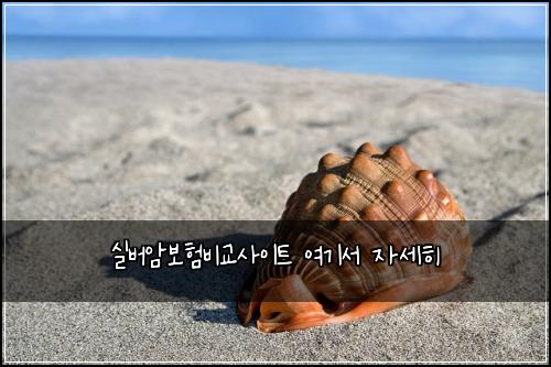실버암보험비교사이트 여기서 자세히
