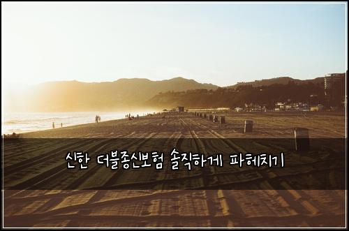 신한 더블종신보험 솔직하게 파헤치기