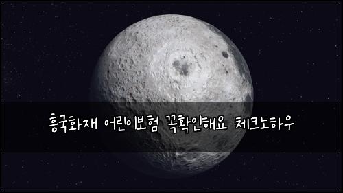 흥국화재 어린이보험 꼭확인해요  체크노하우