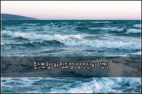 종신보험 체킹요점  암진단비 갱신