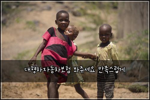 대형차자동차보험 봐쥬세요  만족스럽게