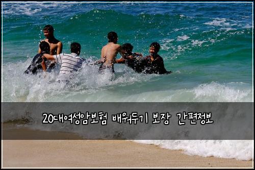 20대여성암보험 배워두기  보장 간편정보