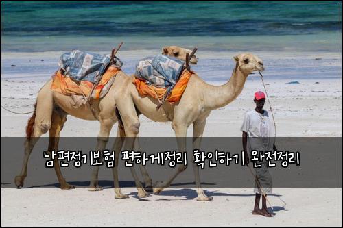 남편정기보험 편하게정리  확인하기 완전정리