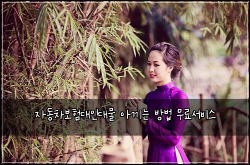자동차보험대인대물 아끼는 방법 무료서비스