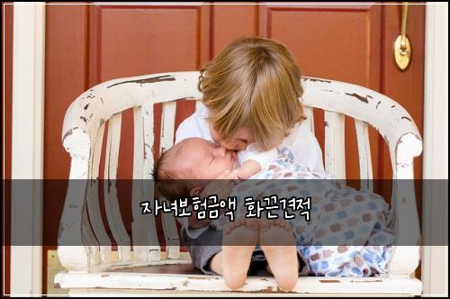 ์๋
๋ณดํ๊ธ์ก ํ๋๊ฒฌ์ 
