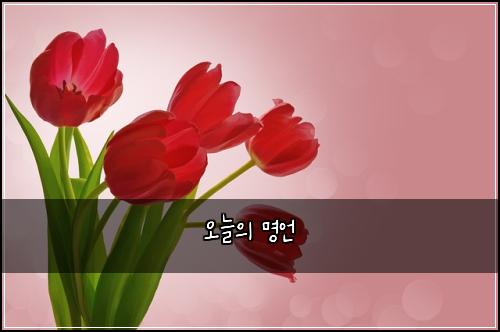오늘의 명언