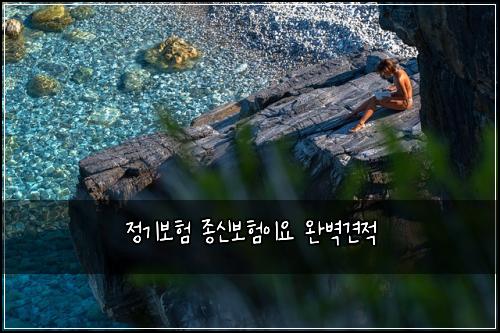 정기보험 종신보험이요 완벽견적