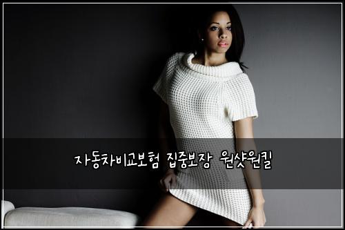 ์๋์ฐจ๋น๊ต๋ณดํ ์ง์ค๋ณด์ฅ ์์ท์ํฌ