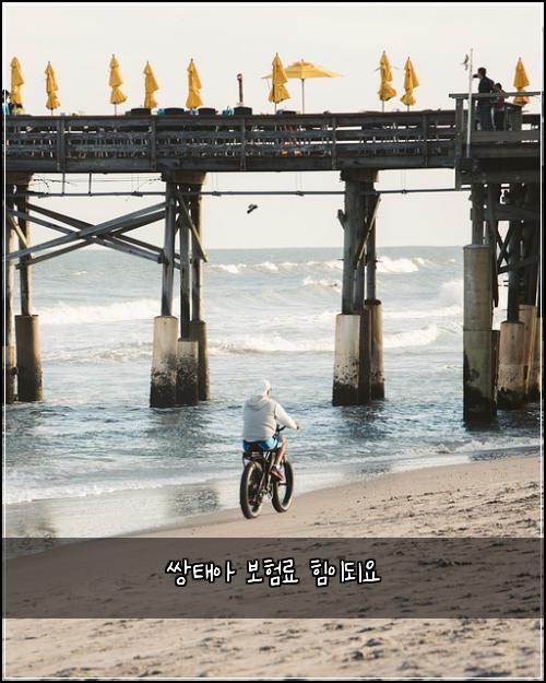 쌍태아 보험료 힘이되요