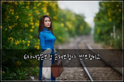 6자녀실손보험 손해보험사 싼보험비교