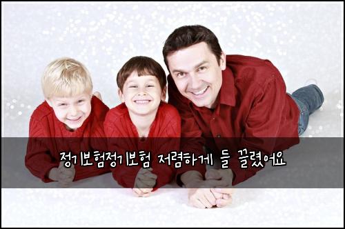 정기보험정기보험 저렴하게 들 끌렸어요