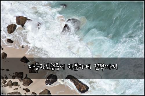 자동차보험증서 차분하게 견적까지