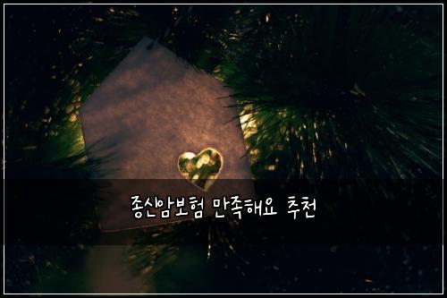 종신암보험 만족해요  추천