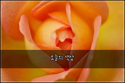 오늘의 색상