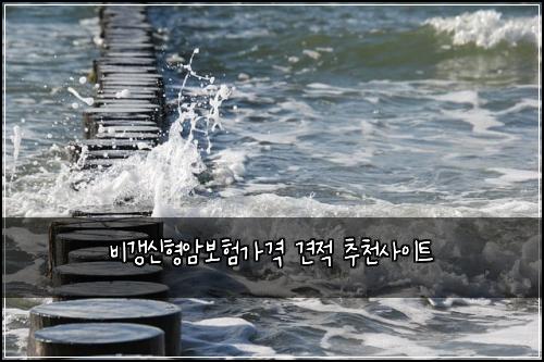 비갱신형암보험가격 견적 추천사이트