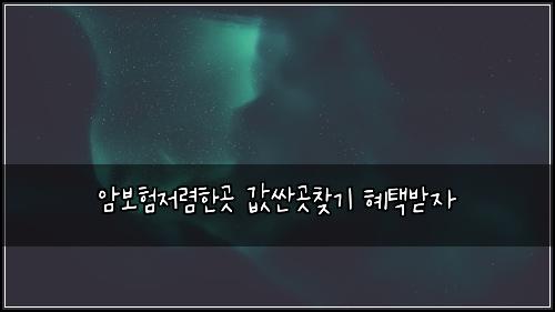 암보험저렴한곳 값싼곳찾기 혜택받자