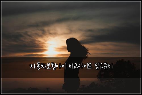 ์๋์ฐจ๋ณดํ์์ด ๋น๊ต์ฌ์ดํธ ๋ฏฟ๊ณ ์ค๋น