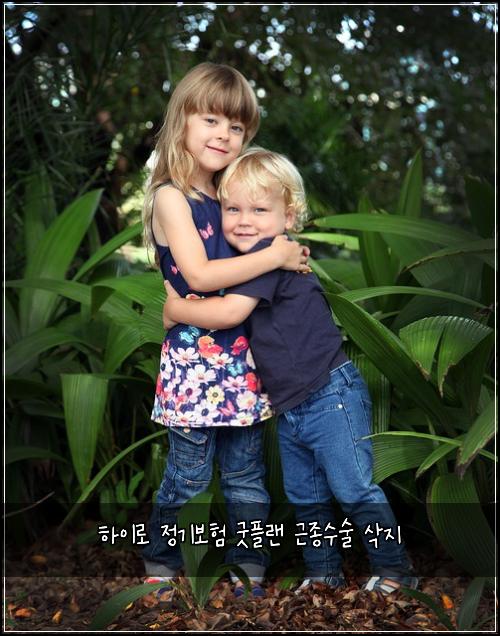 하이로 정기보험 굿플랜  근종수술 삭지