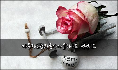 자동차보험차종마다틀리나요 척척비교