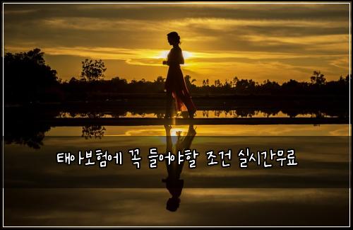 태아보험에 꼭 들어야할 조건 실시간무료
